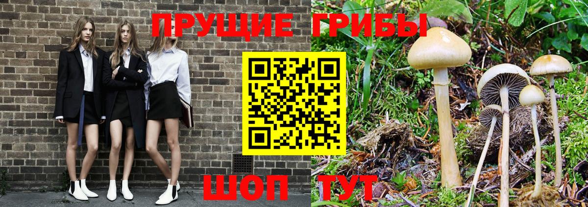 Галлюциногенные грибы MAGIC MUSHROOMS  Вход с VPN  Бийск 