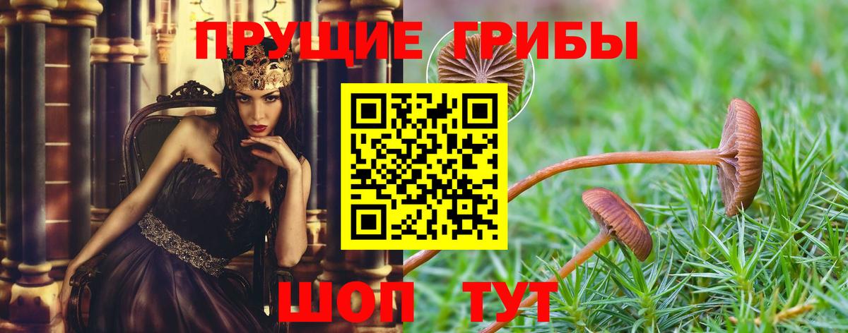 Псилоцибиновые грибы Magic Shrooms Бийск
